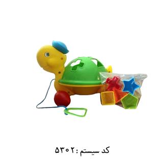لاک پشت اشکال تک توی